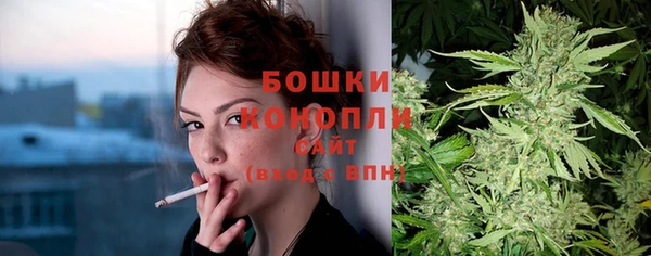шишки Липки